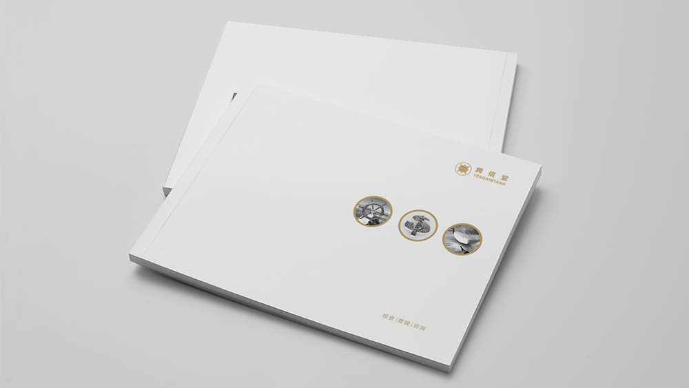 騰信堂投資管理咨詢公司畫(huà)冊(cè)設(shè)計(jì)